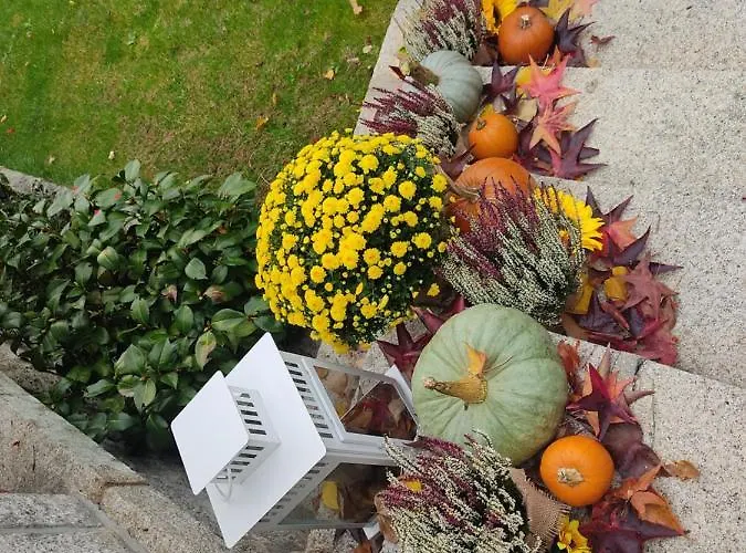 Rural La Flor * ラス・ナバス・デル・マルケス